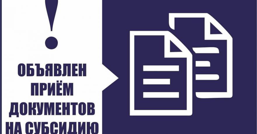 Минкультнац РМ объявляет прием заявочной документации для участия в конкурсном отборе на предоставление субсидий
