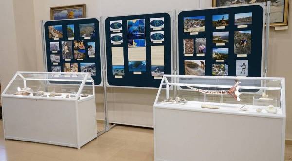 Выставка «Загадки мезозойских морей Поволжья»