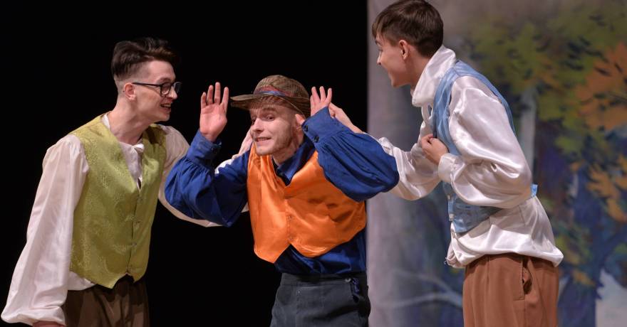 Саранские студенты покажут комедию Мольера на «Театральном Приволжье»