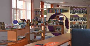 Муниципальные библиотеки Республики Мордовия: аналитика