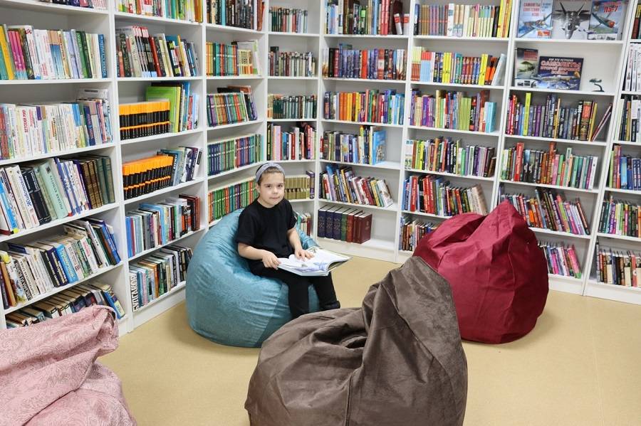 Детская модельная библиотека Лямбирского района в числе победителей конкурса «Золотая полка – 2022»