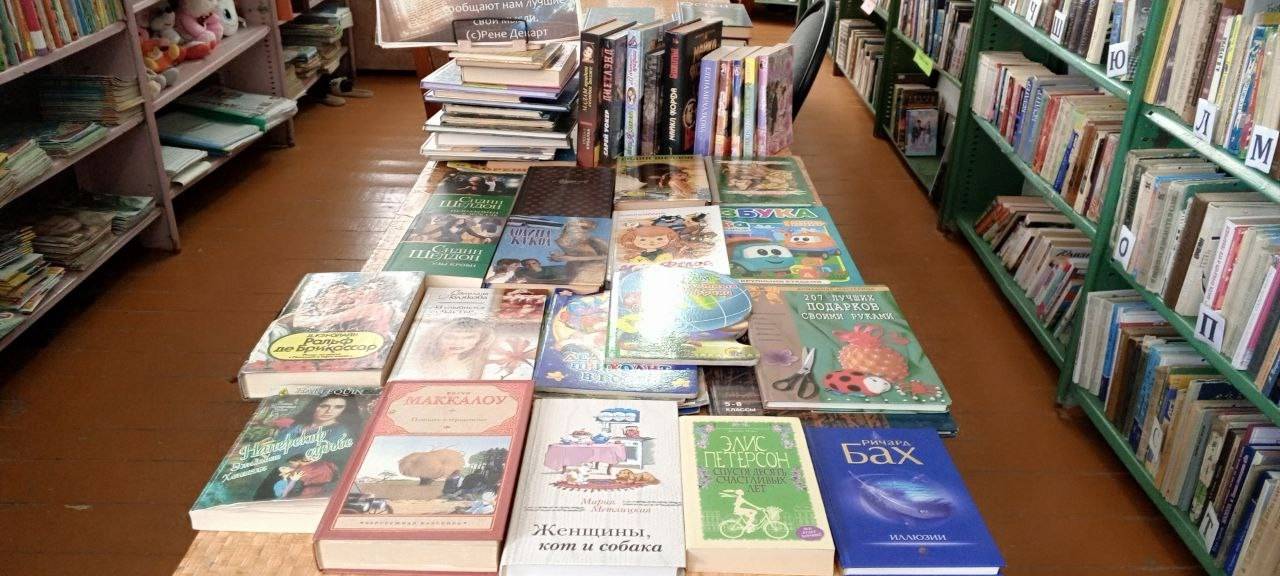 Проект «Межрегиональный книжный центр» поможет пополнить запасы сельских библиотек