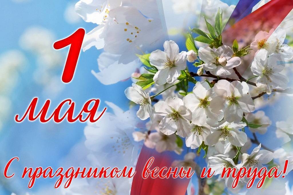 Майские выходные 2026: афиша