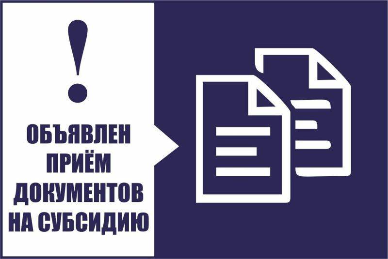 Минкультнац РМ объявляет конкурс на получение грантов в форме субсидий в области театрального искусства