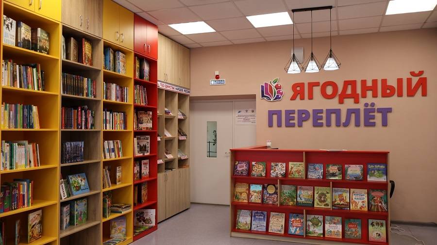 21 июля открылась пятая модельная библиотека в Рузаевском районе